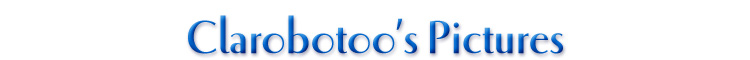 Clarobotoo's Pictures