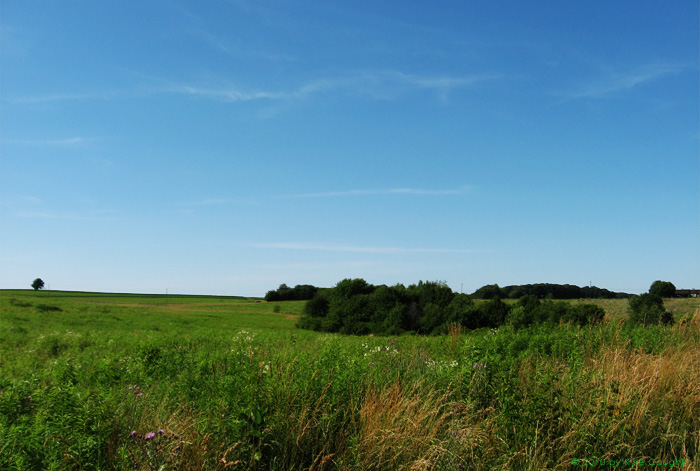 Wide Open Spaces
