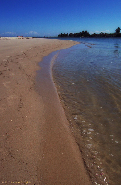 The Long Curve